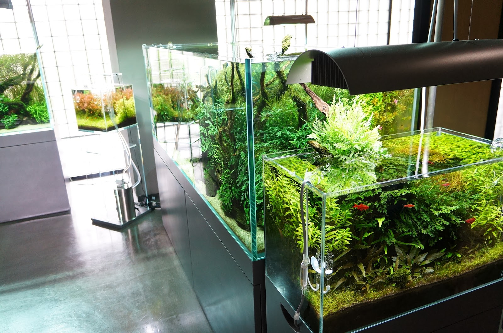 ADAキューブガーデン 60センチ水槽セット 大阪市引き取り限定