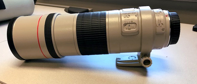 Review: The Canon EF 300mm f4 L IS USM | Matt Cuda Nature