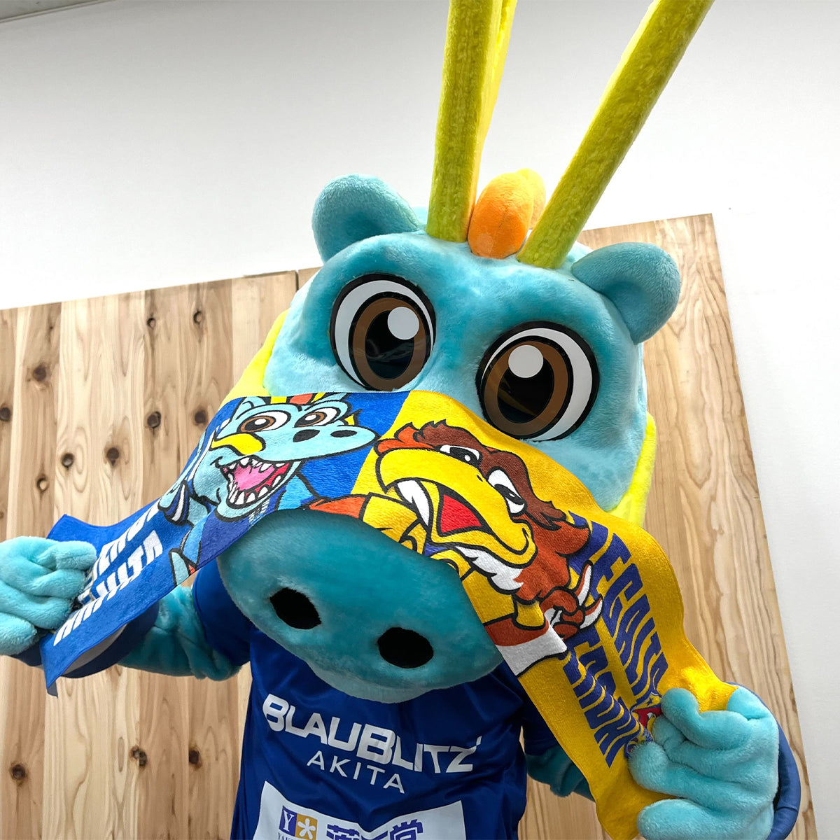 2023 ベガルタ仙台コラボ タオルマフラー – BLAUBLITZ AKITA ONLINE STORE