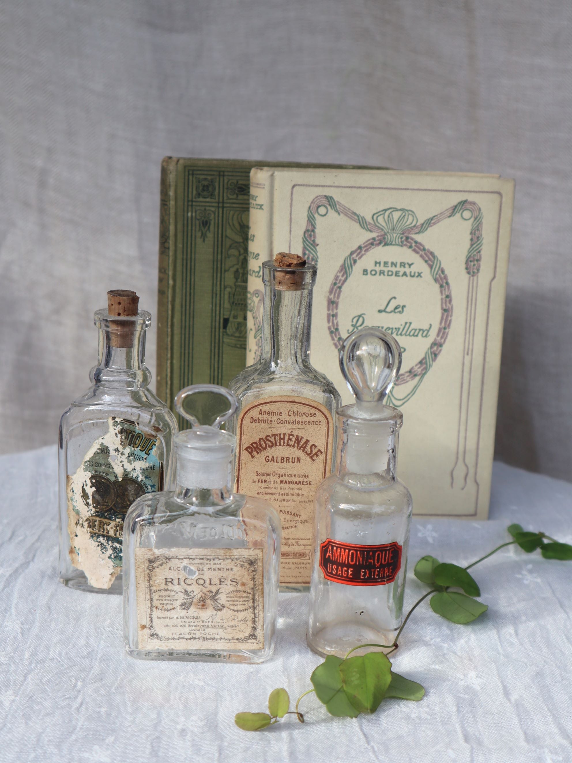 ACCESSOIRES – Les Bleuets