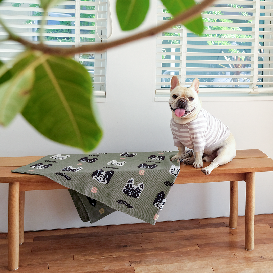 4BUHI Blanket – フレンチブルドッグ服 BLIMP ブリンプ