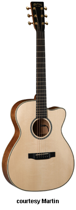 Martin & Co. XC1T ellipse カッタウェイ