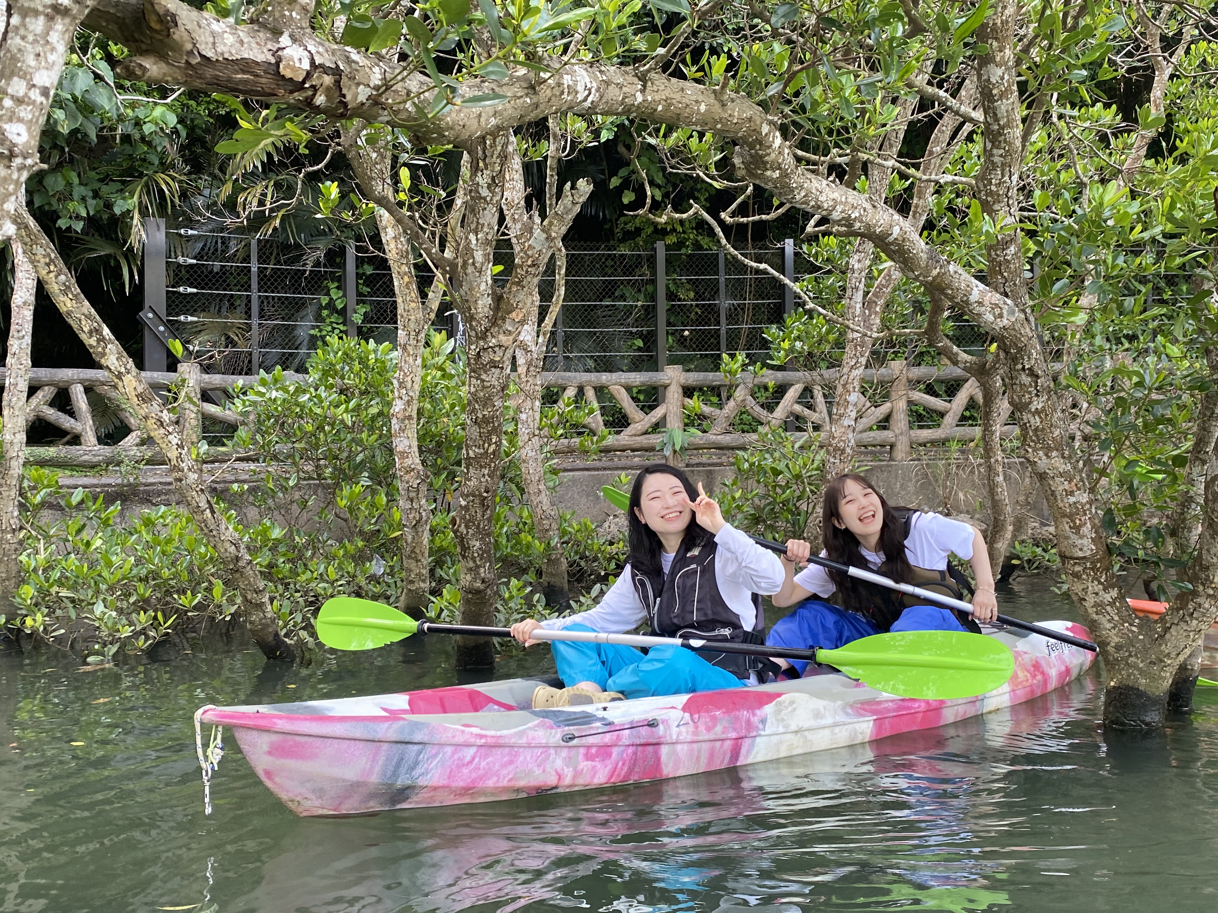 沖縄 カヤック | マングローブカヤックは「ブルーフィールド」