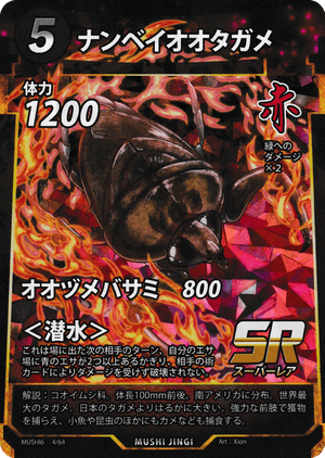 ナンベイオオタガメ 標本 ナンベイオオタガメ 102mm(頭部〜羽先) 昆虫