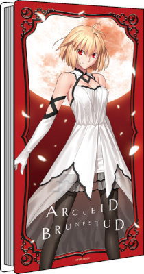 真月譚 月姫 Tsukihime アルクェイド ポスター 真月譚 月姫 Tsukihime