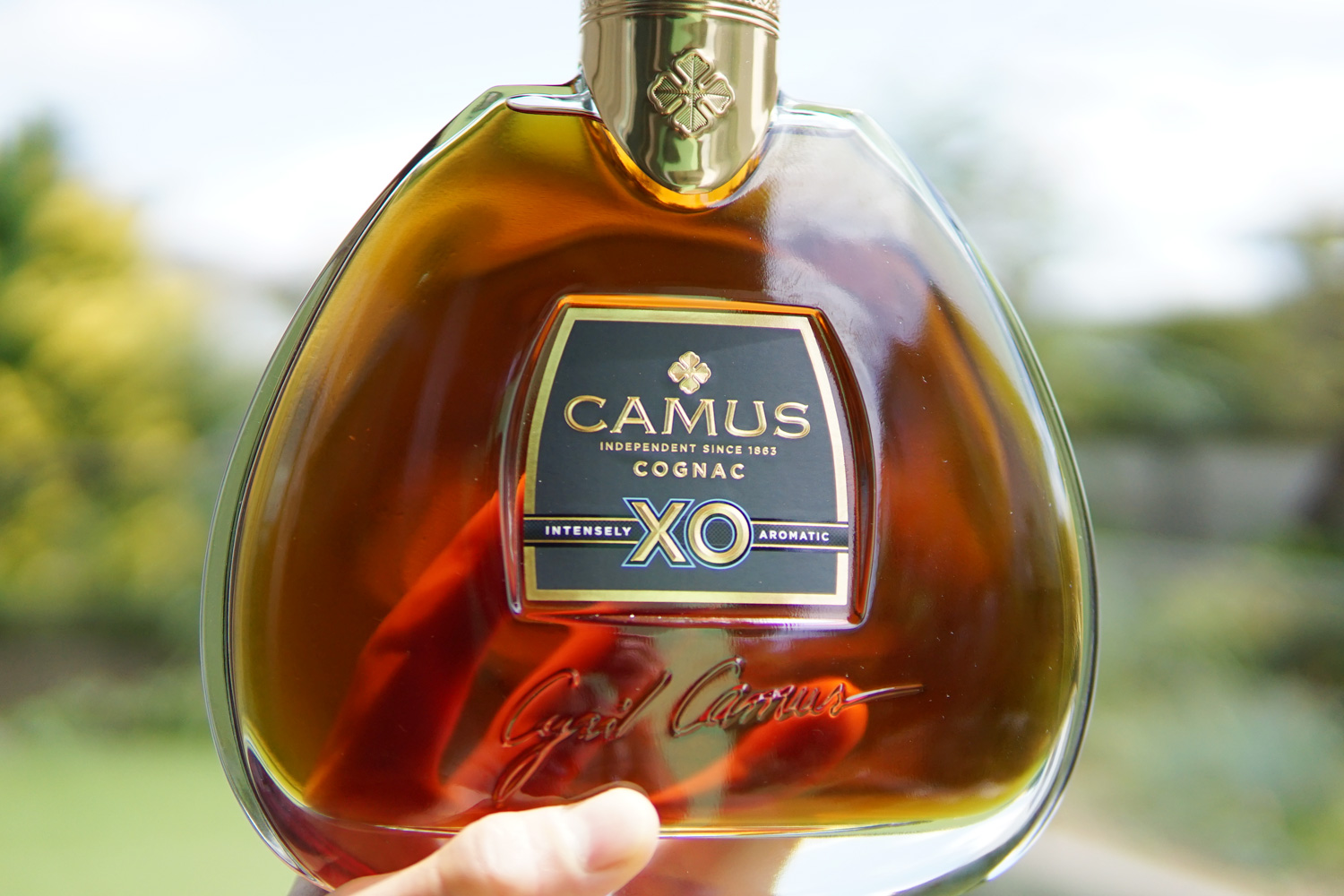 未開栓】CAMUS XO カミュ コニャック ブランデー COGNAC 古酒 ボトル