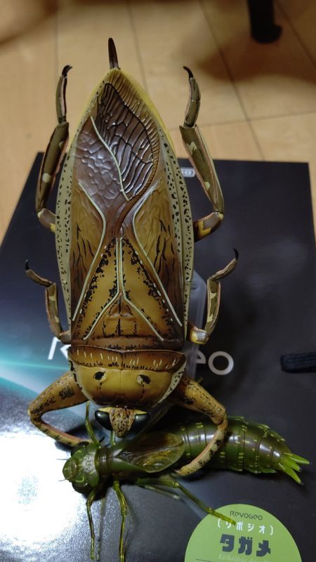 リボジオ タガメ 海洋堂 海洋堂フィギュア（リボジオ タガメ） - ぶり