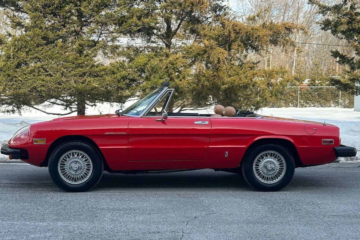 No Reserve: 1981 Alfa Romeo 2000 Spider Veloce for sale on BaT