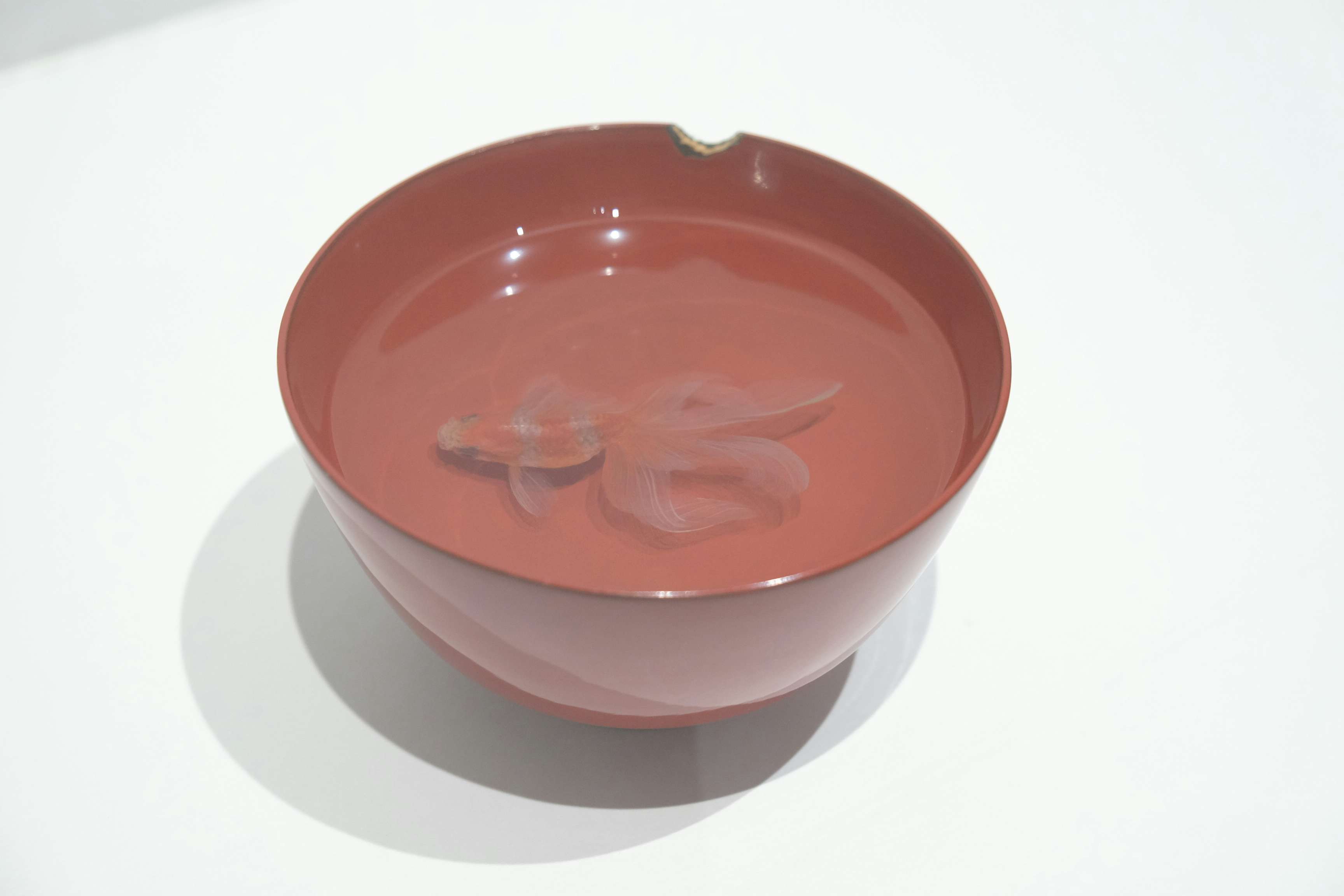 独自の手法で描く金魚たちの共演。深堀隆介展「金魚鉢、地球鉢。」に