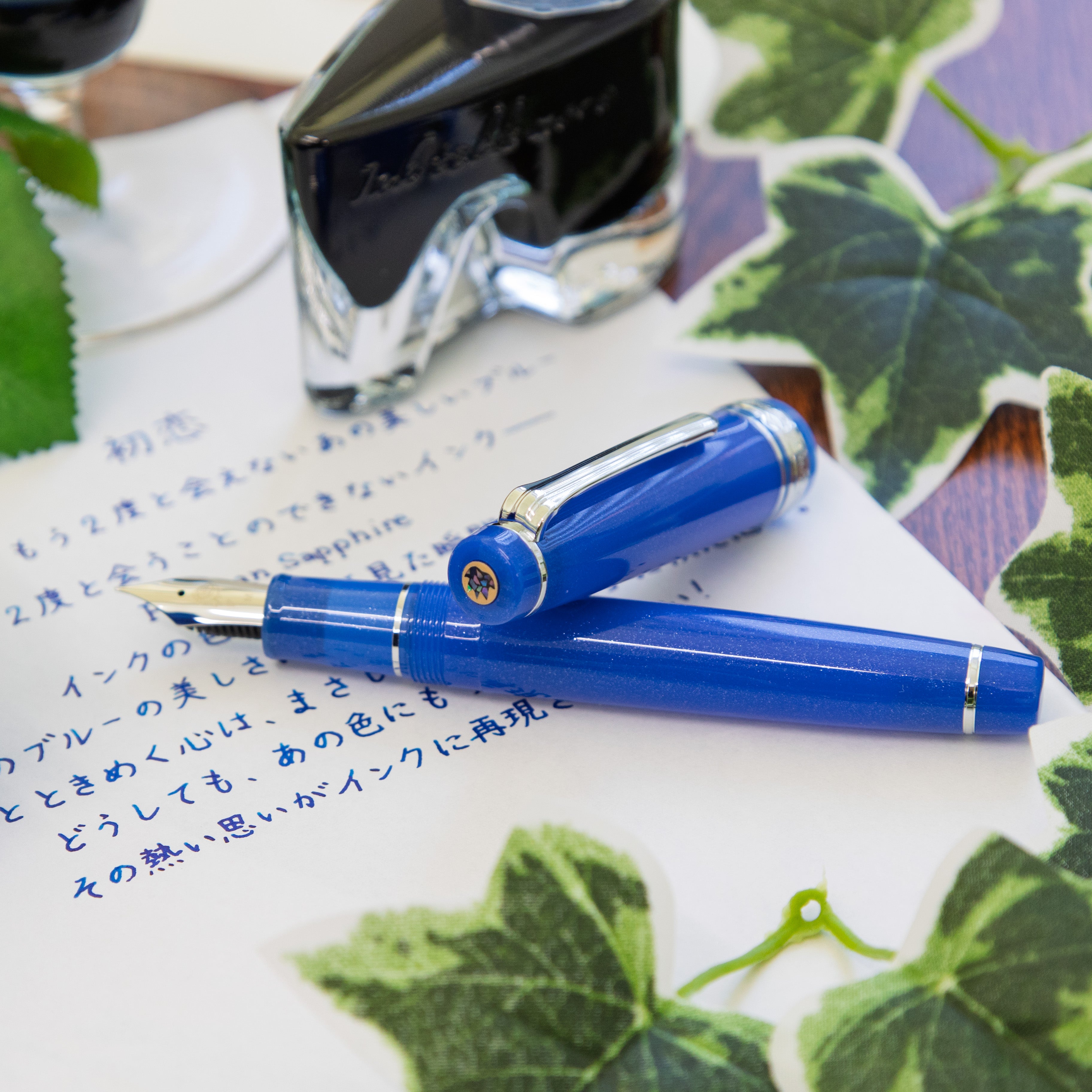 Collections – BUNGUBOX