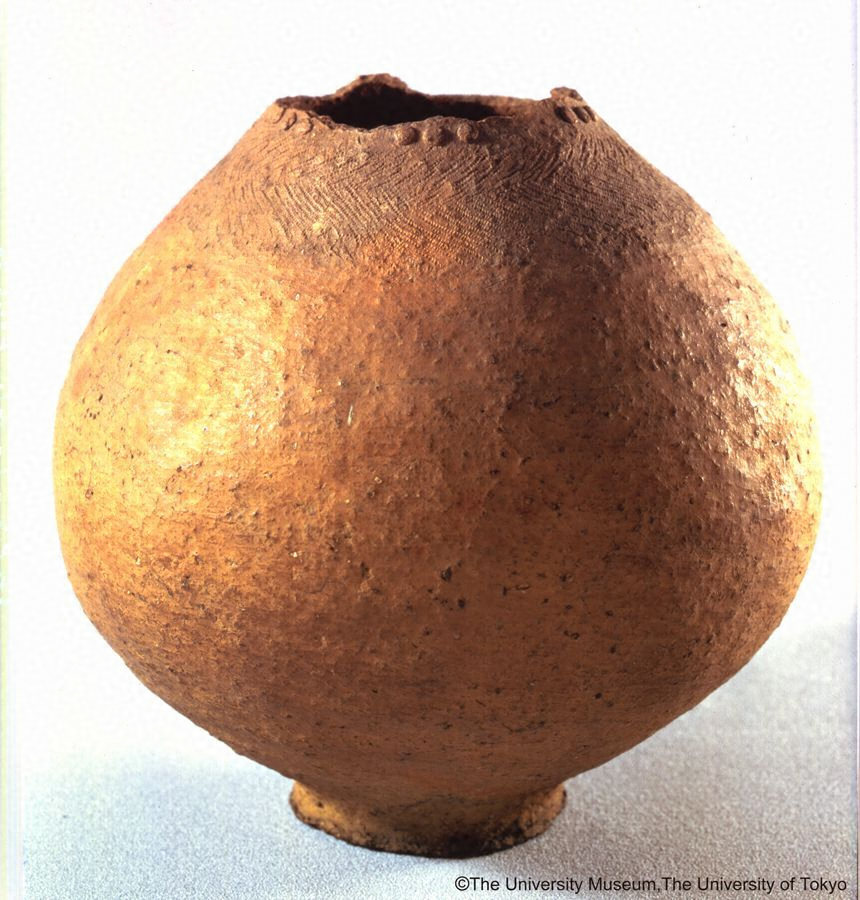 本郷弥生町出土壺形土器 文化遺産オンライン