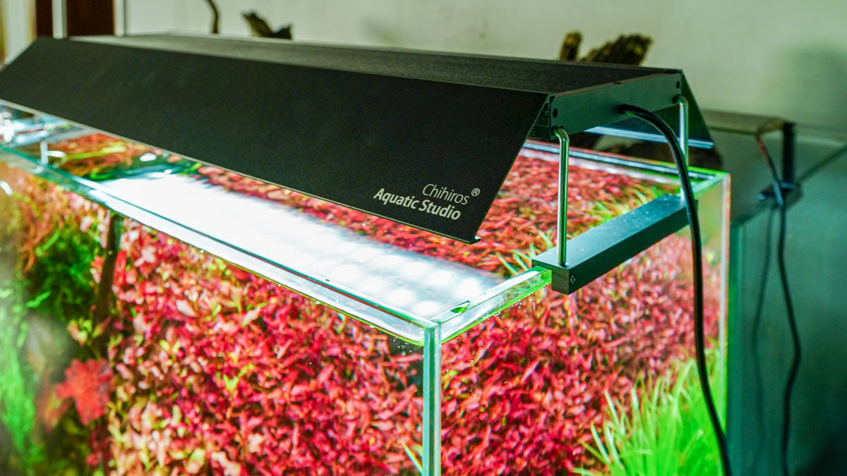 Chihiros WRGB II PRO Light Shade with Mirror — Buce Plant