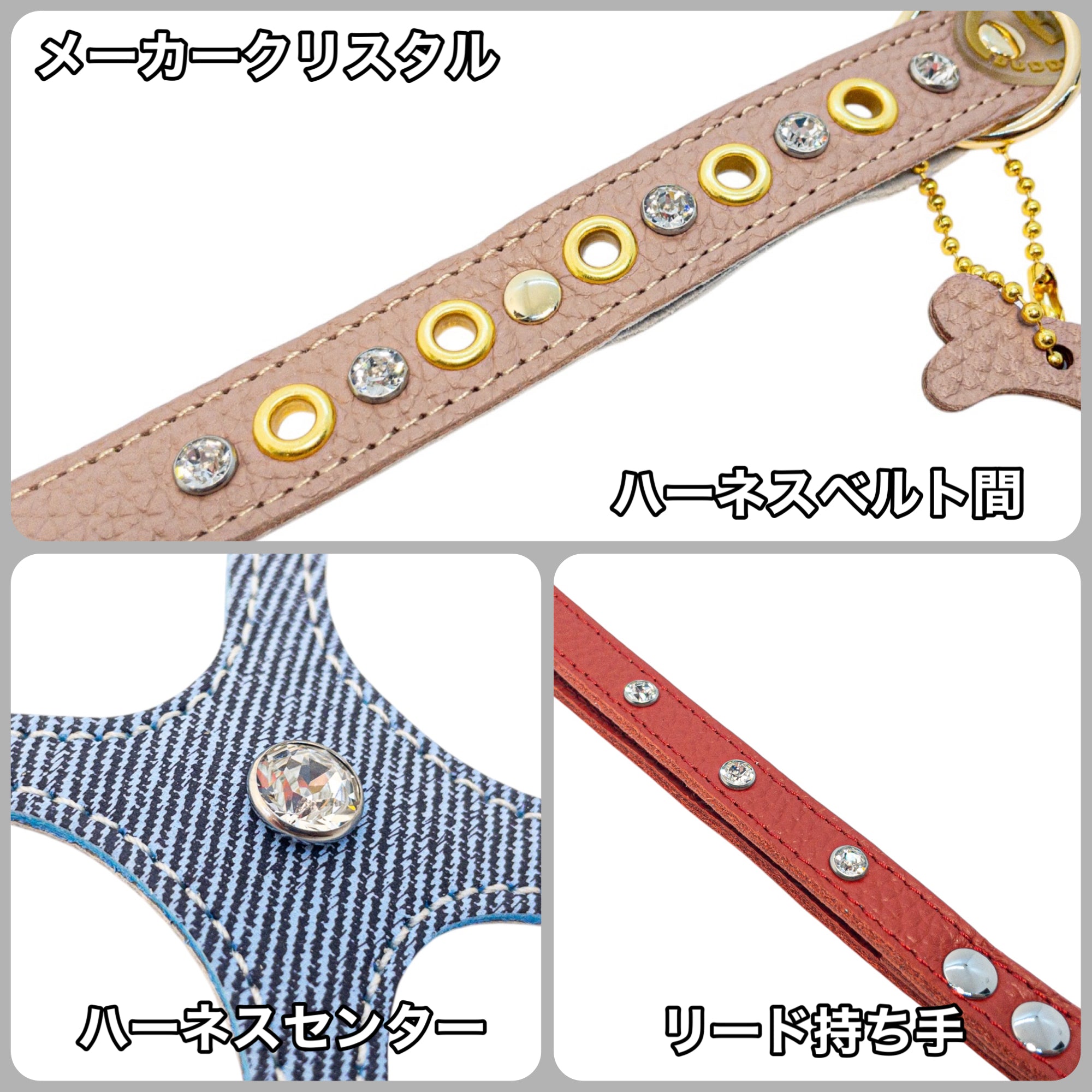 カナリア【Canary】 – バディーベルトジャパン