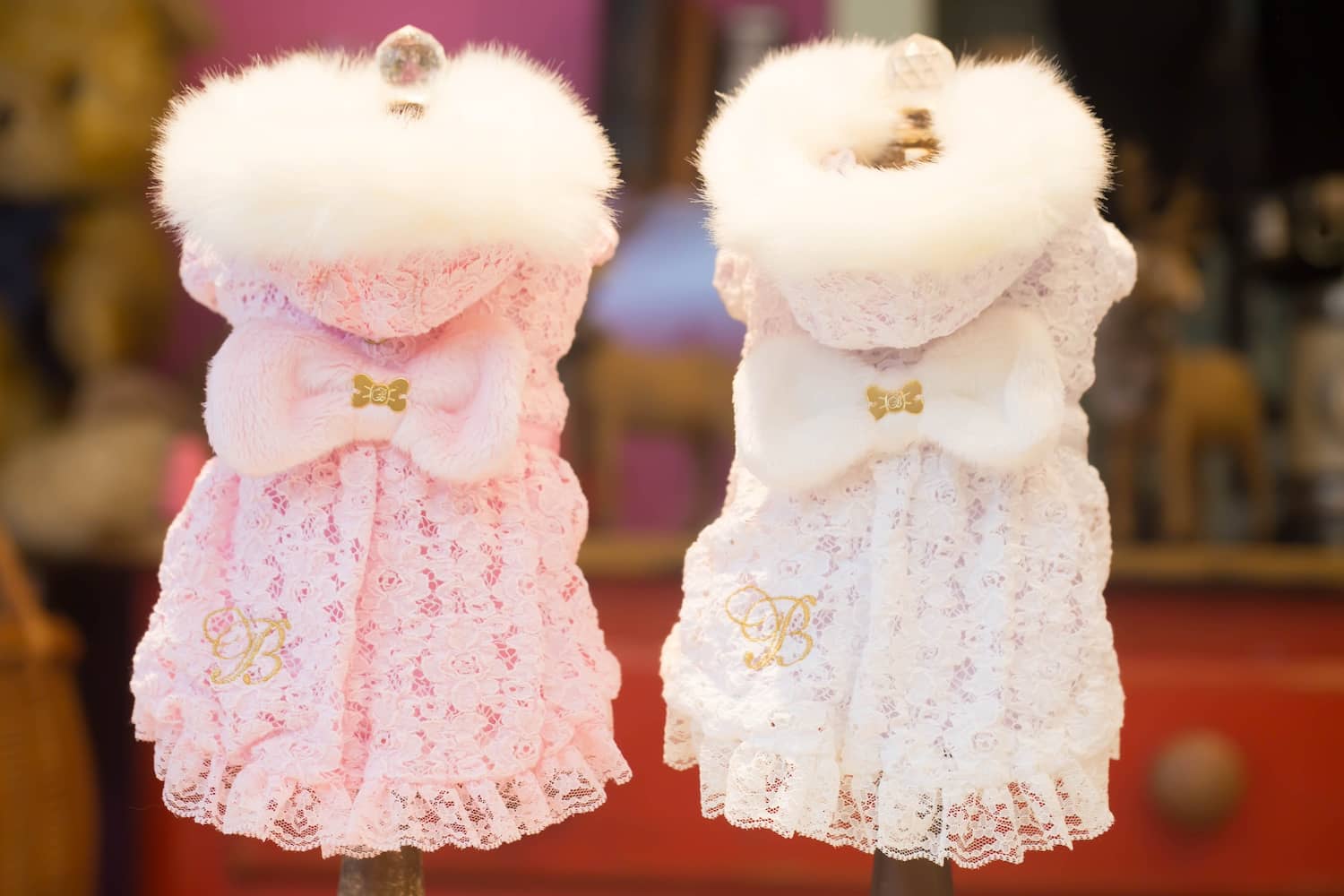 犬（わんちゃん）の洋服。ドッグブティック ブルブブ《セールアイテム♪》