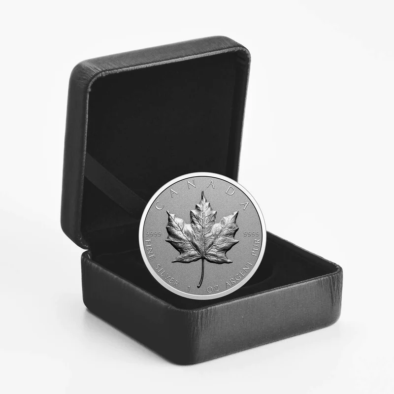 カナダ 2022 メイプルリーフ 5ドル 1オンス 銀貨 10枚 (コイン