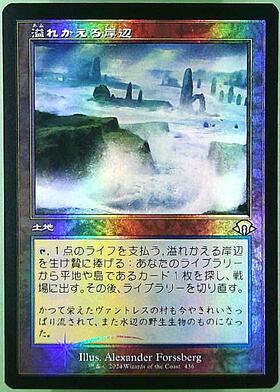 即決 mtg 溢れかえる岸辺 ktk 日本語4枚