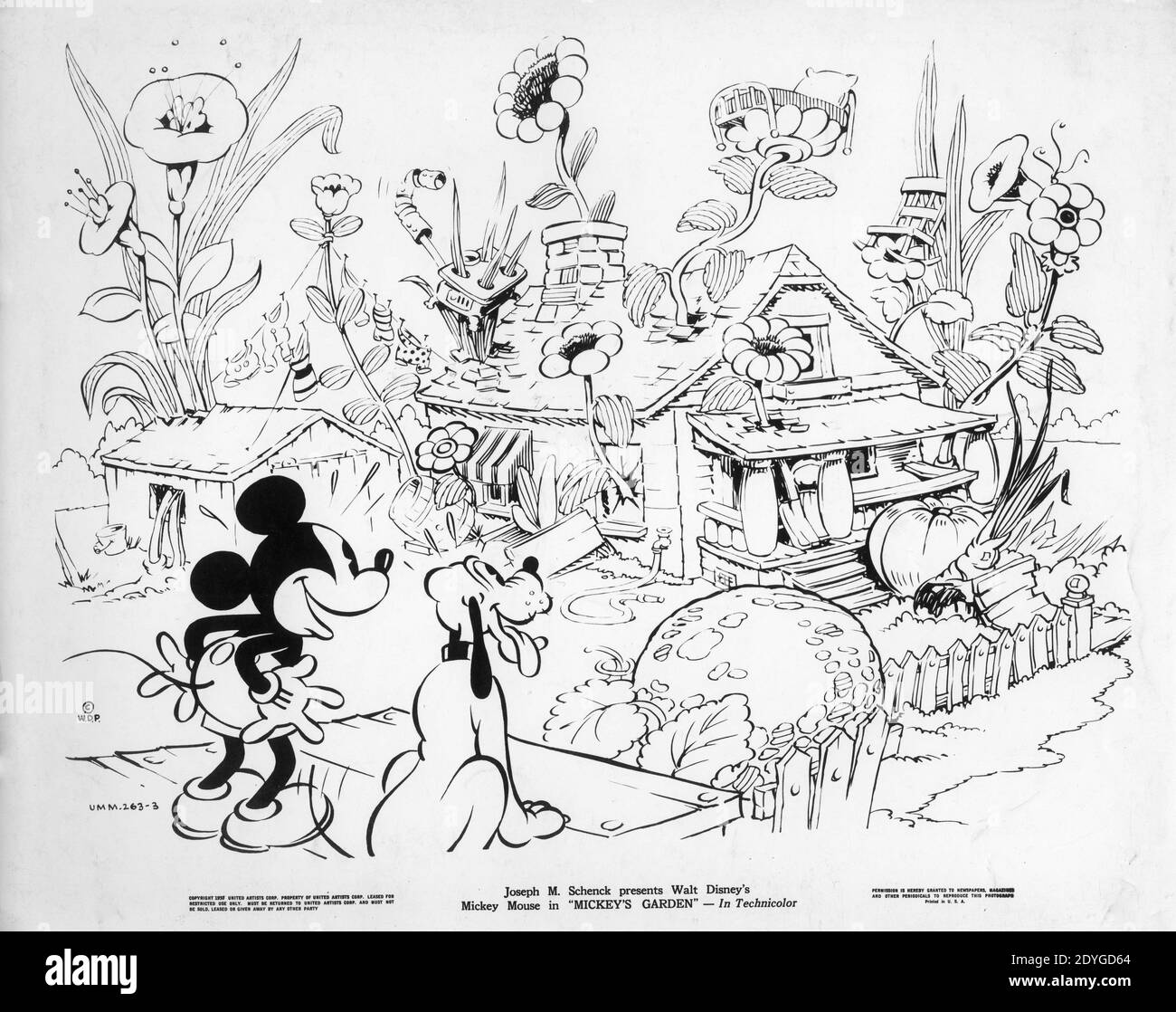 WALT DISNEY's MICKEY MOUSE and PLUTO in MICKEY'S GARDEN 1935