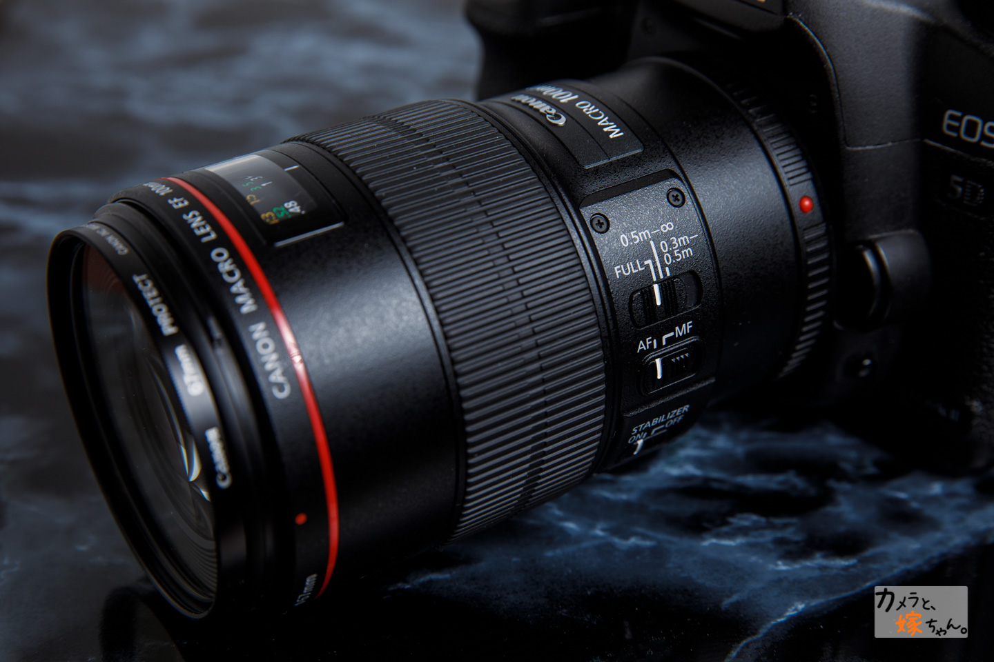 レビュー】EF100mm F2.8L マクロ IS USM - カメラと、嫁ちゃん。