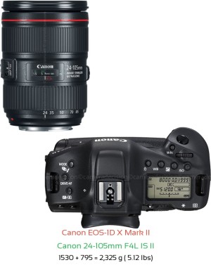 Canon 1D X II Camera and Canon EF 70-200 F4L IS II USM Lens