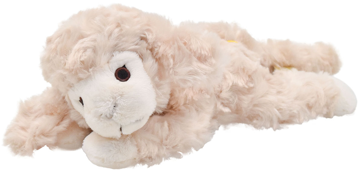 ウィッシュボーンコレクション｜メリーソート｜Dear Bear