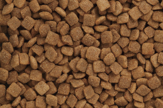 セミベジタリアン・ドッグ | C&R 無添加ペットフード