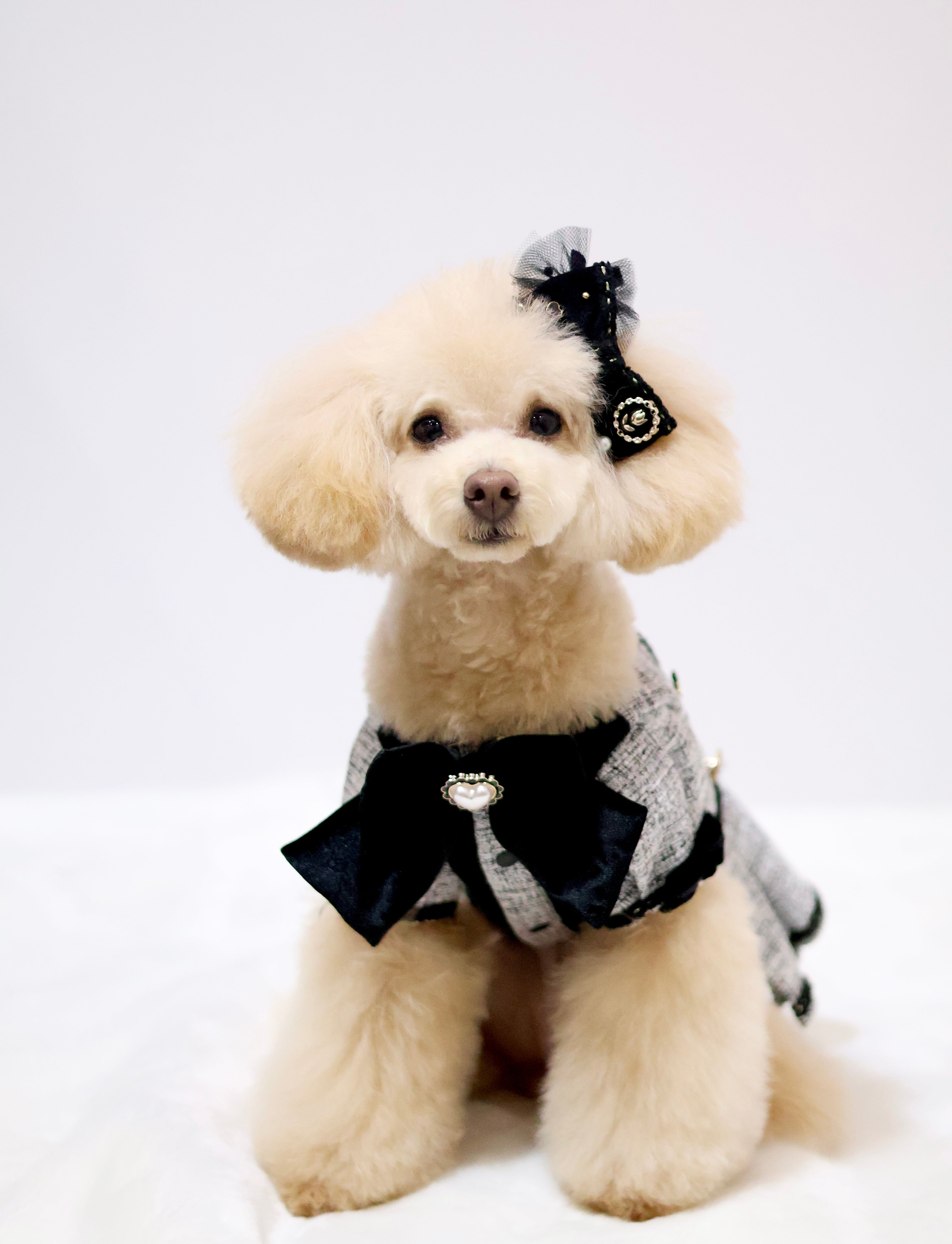 MaisonClassicワンピース – Candy Buppie Online