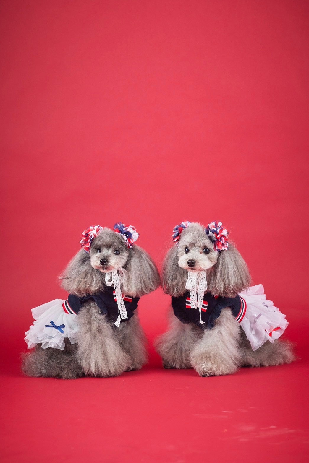 Cheerヘッドアクセ – Candy Buppie Online