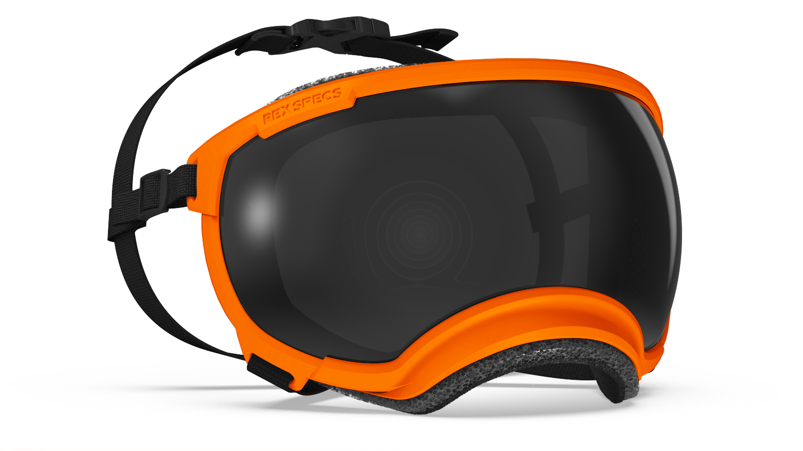 REX SPECS Goggles V2 雪遊び登山スキーで犬の目を守るゴーグル 【即日