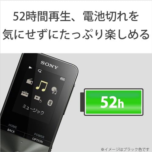 アウトレット超特価】ソニー NW-S315-L ウォークマン Sシリーズ