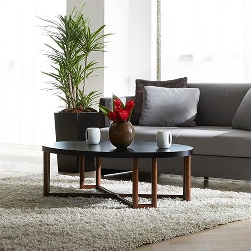 大塚家具 秋田木工 センターテーブル(楕円) 「KOD エリッセ」ブラック