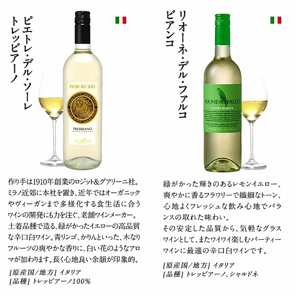 ヤマダモール | ソムリエ厳選 高品質 赤白泡ワイン MIX 10本セット