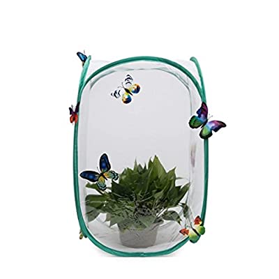 温室・飼育ケース Minzr 温室・飼育ケース Minzr 温室・飼育ケース