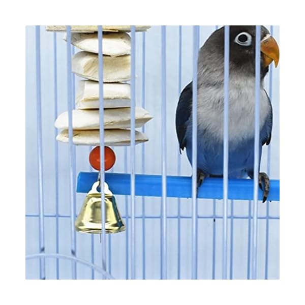 ヤマダモール | カトルボーン インコ おもちゃ イカの骨 鈴 オウム