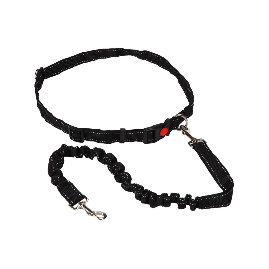 首輪・ハーネス・リード NEIGHBORHOOD DOG LEASH NARROW Black LEATHER