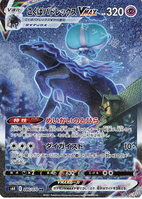 こくばバドレックスVMAX HR こくばバドレックスvmax sa hr