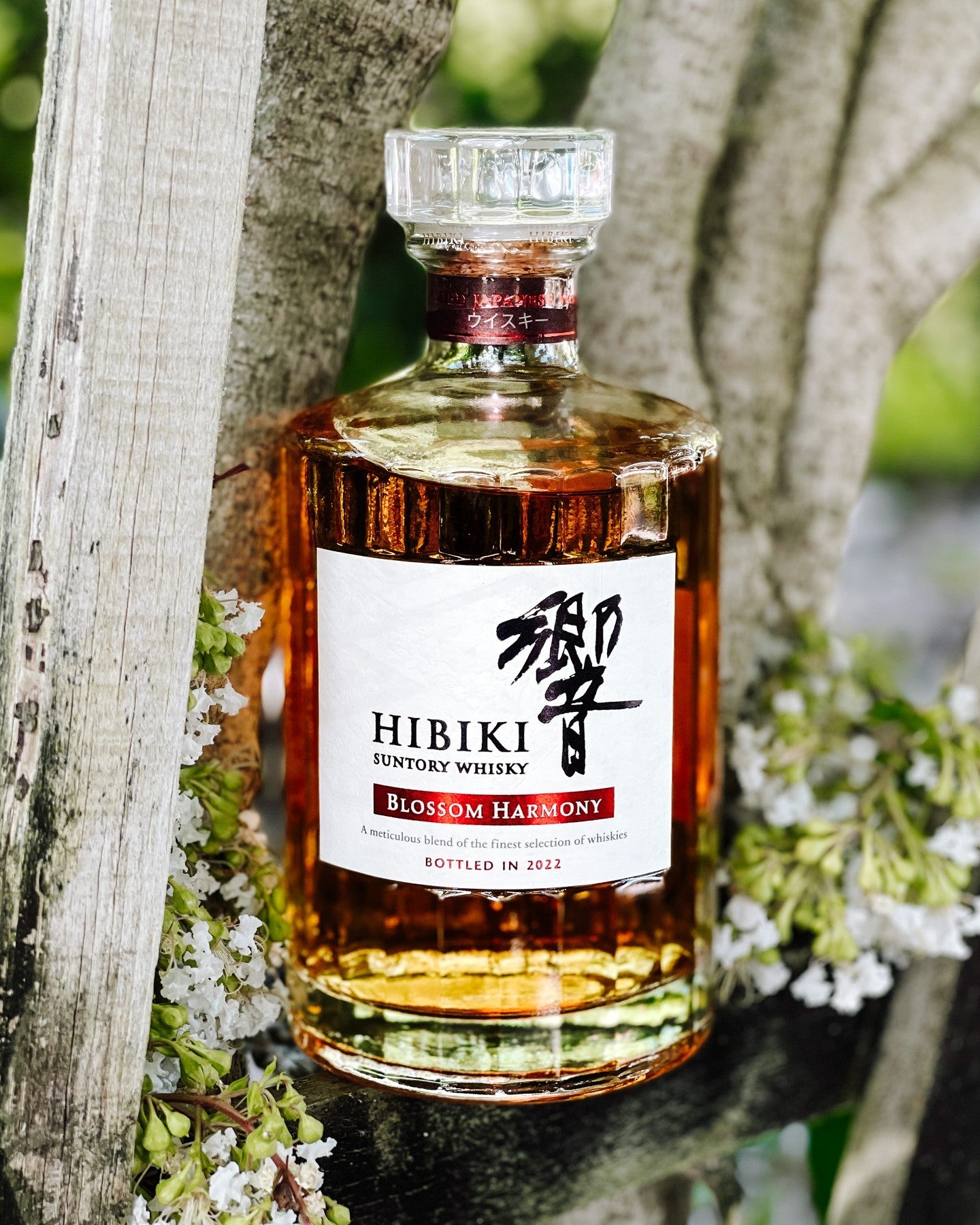 BUY] Suntory Hibiki Blossom Harmony | Limited Edition 2021 at