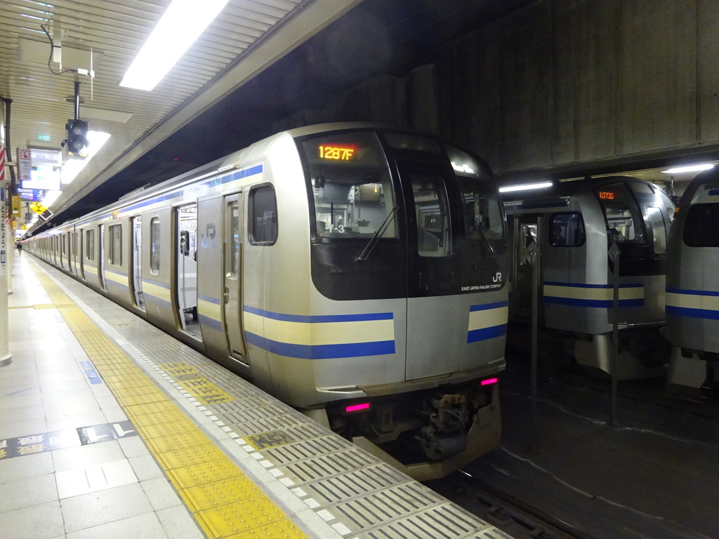 E217系#1】横須賀線・総武快速線「E217系」11両+4両を感じる(1