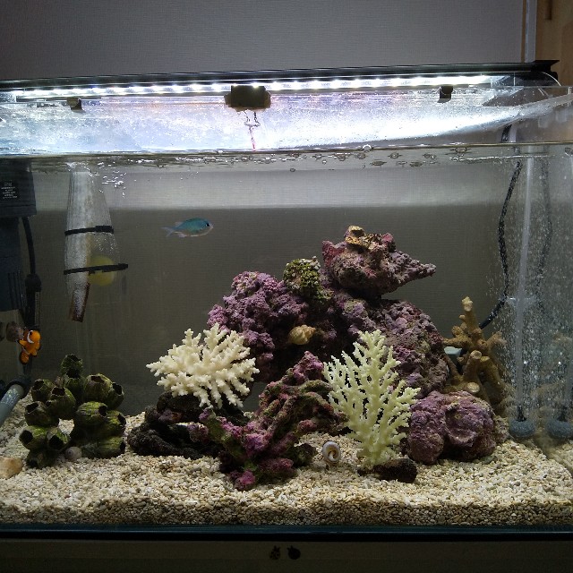 小さなライブロックのレイアウトと組み方まとめ - 豆腐メンタル