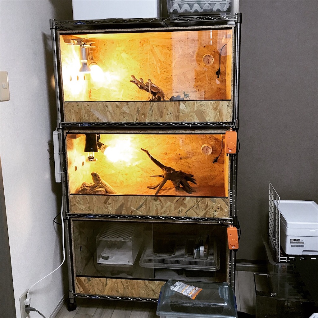 即納】80×40×40㎝ リクガメ フトアゴ 小動物 ゲージ お急ぎ8/13】90×45