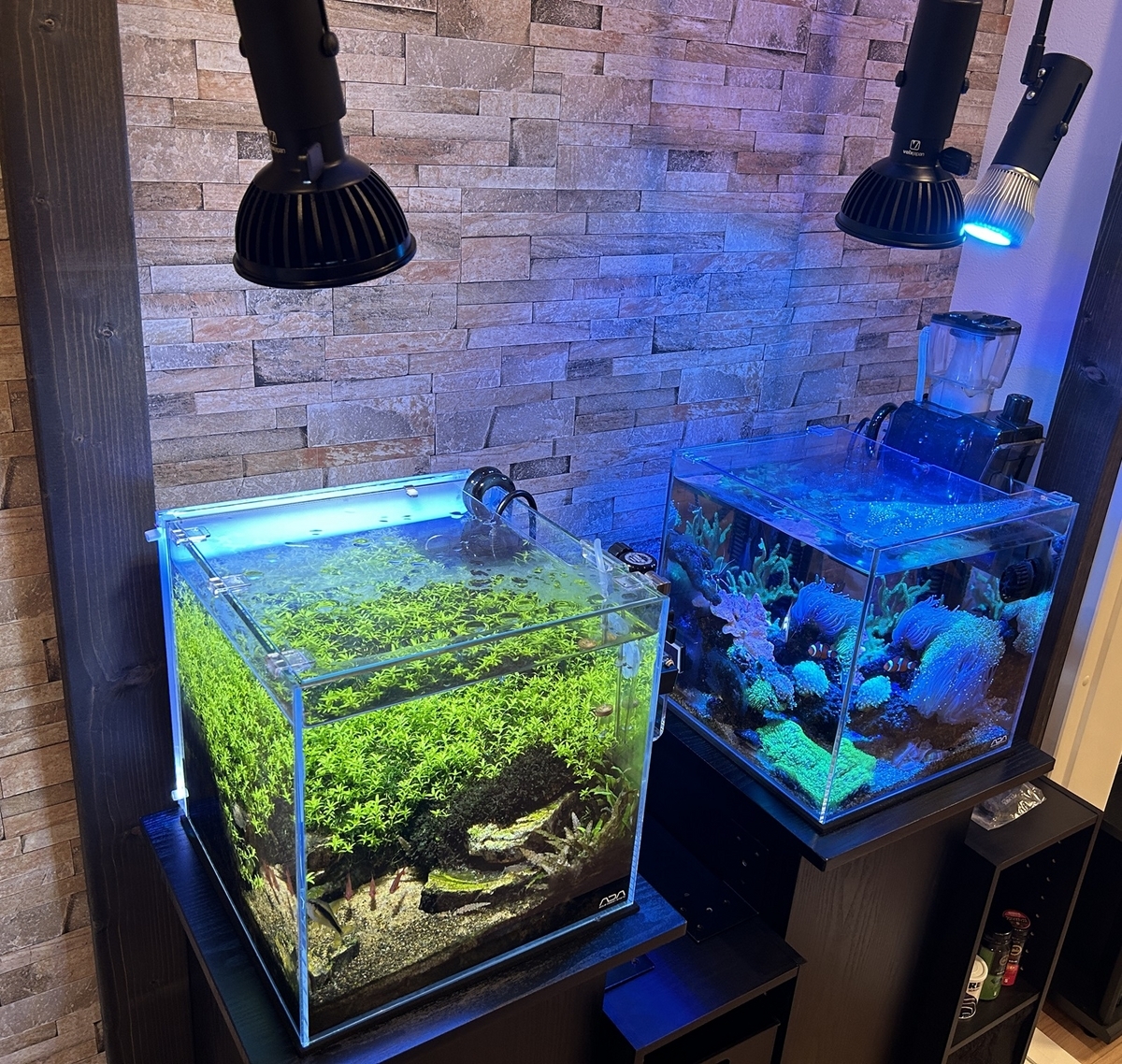 淡水30cmキューブ水槽に「グラッシーレディオ RX122s Fresh」を設置