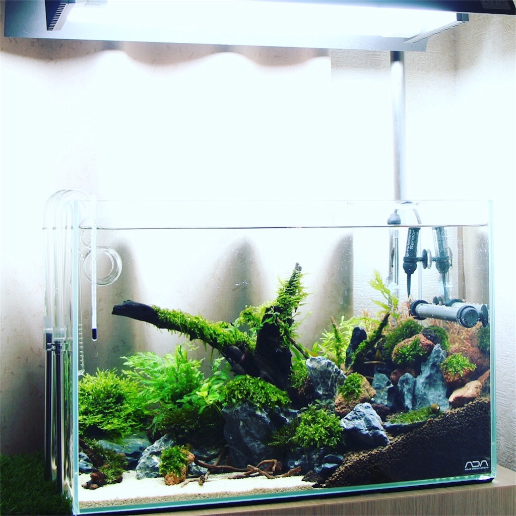 取引予定あり】ADA 中古 キューブガーデン 90×45×45 水槽 ADA キューブ