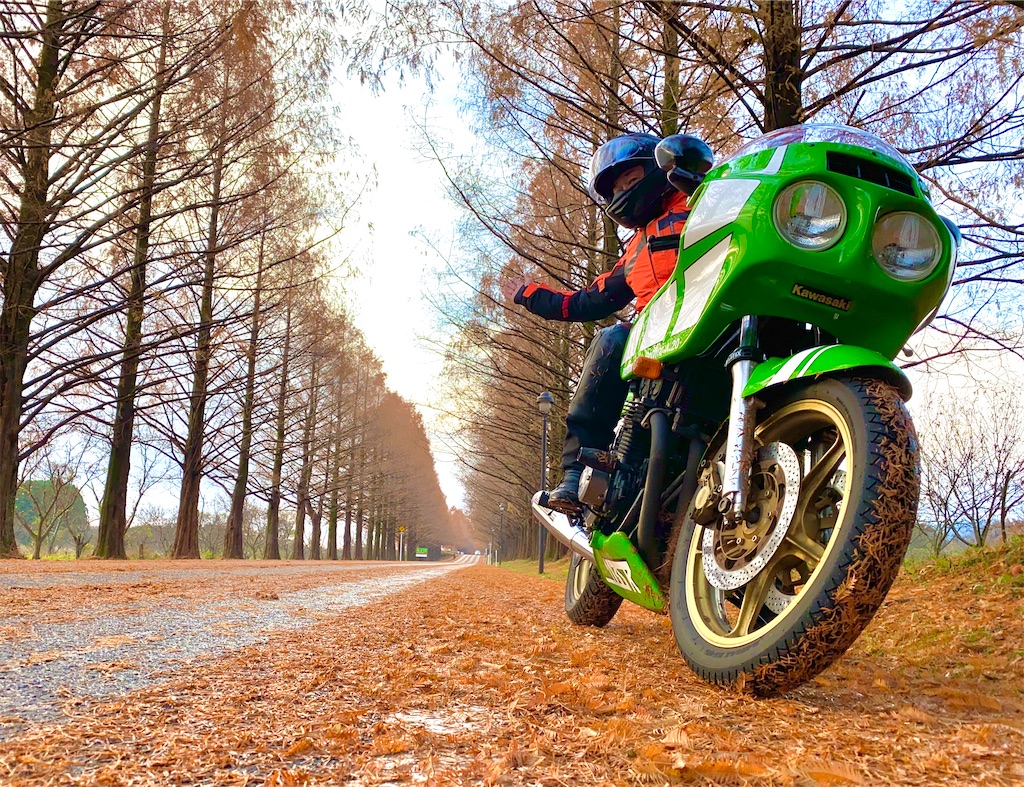 ド派手に行くゼェ！メタセコイア」ゴディエジュヌー 1135R - kawasaki
