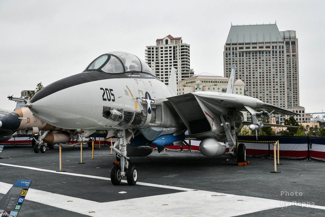 トップガン・マーヴェリックを見た記念に、今まで撮ったF-14トム