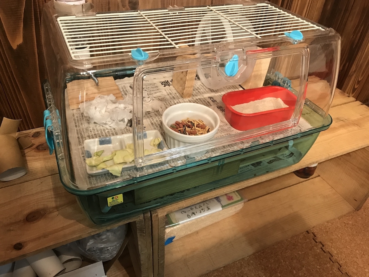 もっちぃ様確認用 ハムスター 地下型 巣箱 (検 ルーミィ グラス