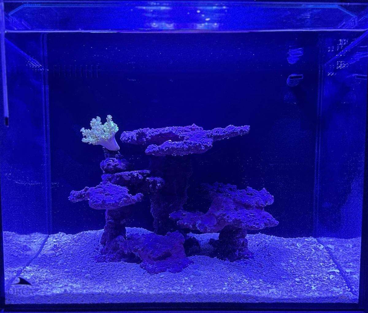 人工ライブロック RR78 アク抜き済み安心塗料使用