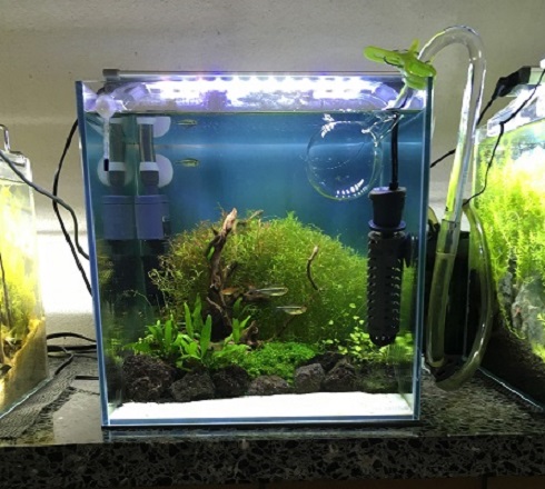 30cmキューブには1台で十分！！アクロOVEL LED300を使ってみた感想