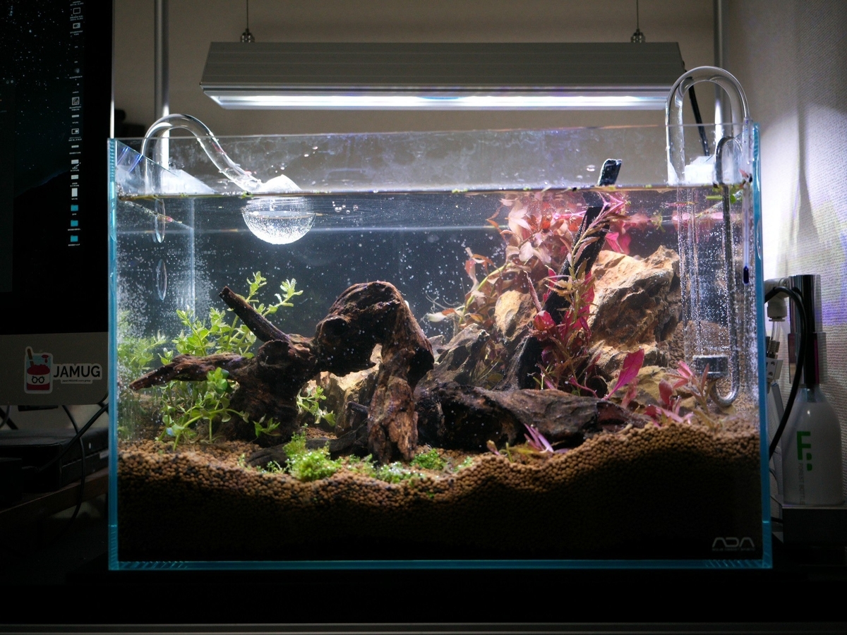 新品未開封】ADA 水槽 キューブガーデン 30cm ソルスタンドRGB 水草