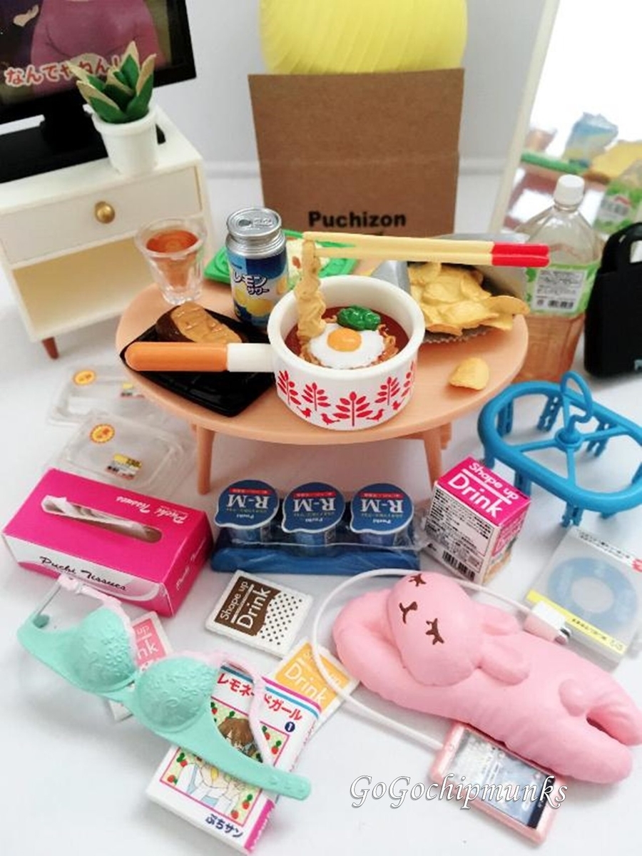 リーメント☆ズボラちゃんのお部屋事情～ハローアイアムズボラ