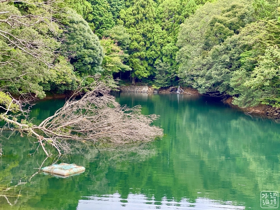 ひょうたん池（静岡県東伊豆） - 水辺遍路