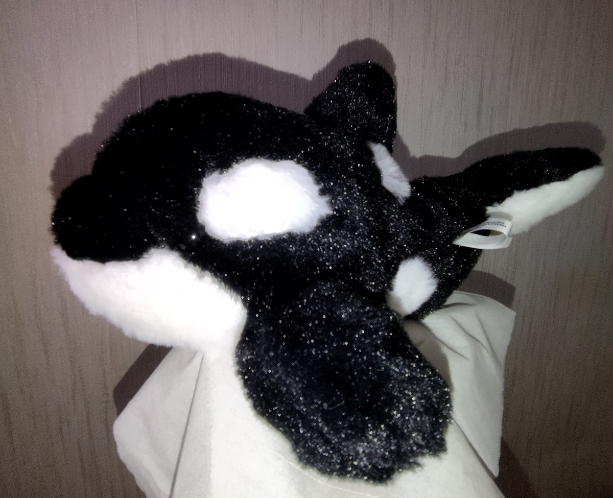 名古屋港水族館 ぬいぐるみくじ 特賞 シャチ 黒 名古屋港水族館 限定